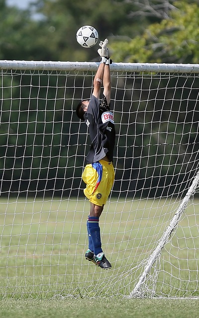 重要保障 重要保障