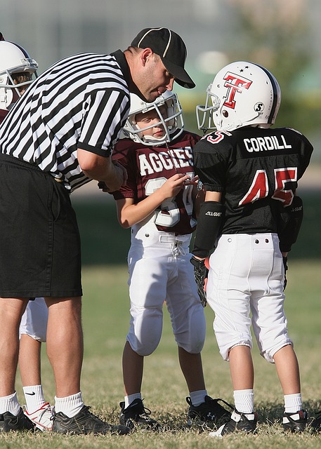 或许能追回 或许能追回