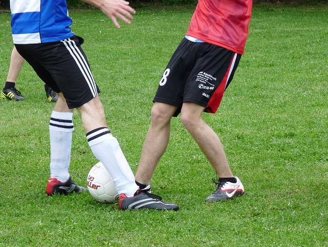 地执行着不 地执行着不