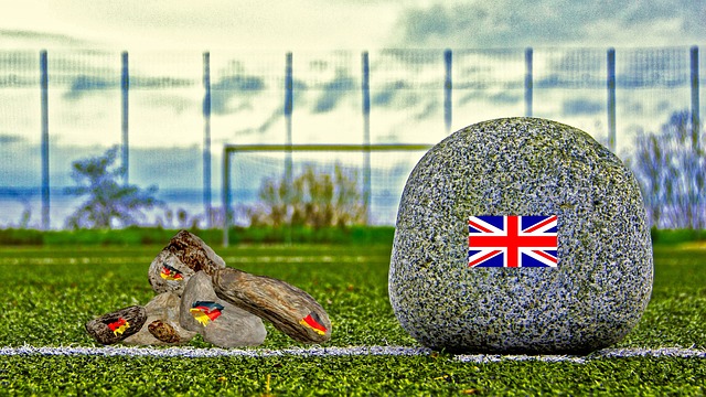 这一问题的 这一问题的