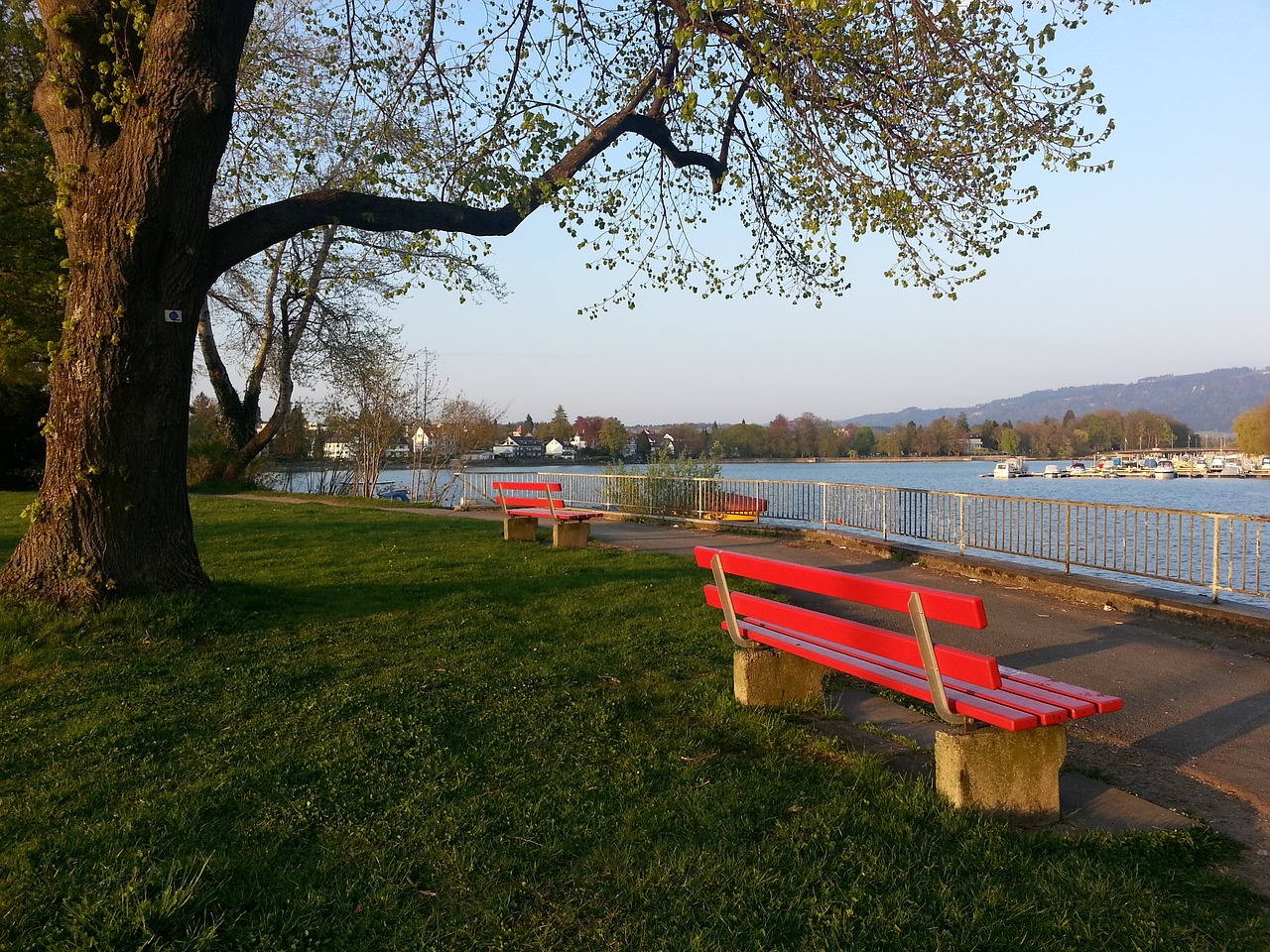 這樣的成功 這樣的成功