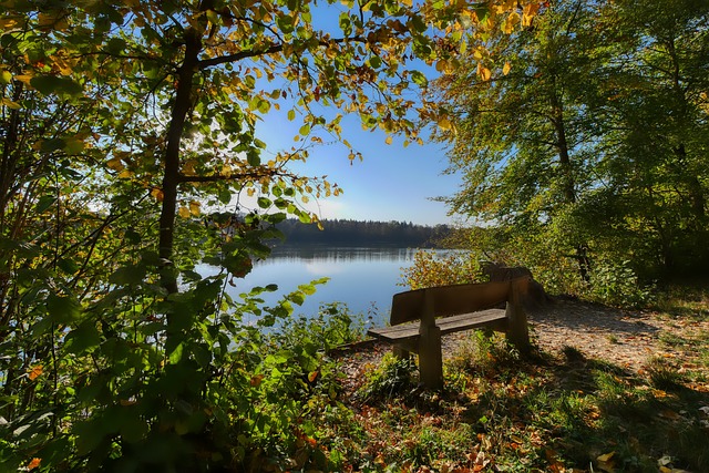 员或者通过 员或者通过