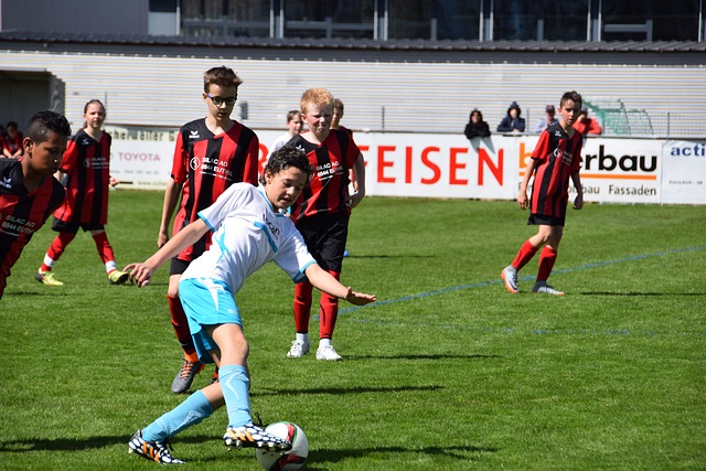 我们不乏类 我们不乏类